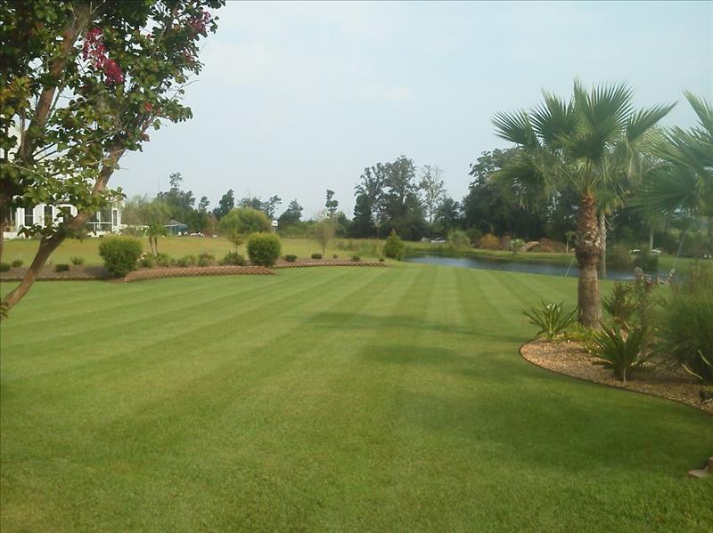 Premium Landscaping Inc. Brunswick, GA